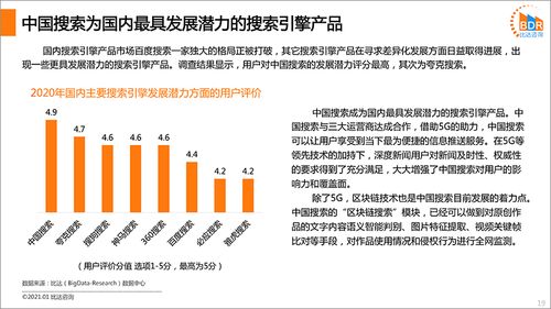 《2020年中國搜索引擎產品市場發展報告（簡版）》——聚焦軟件開發與技術推廣